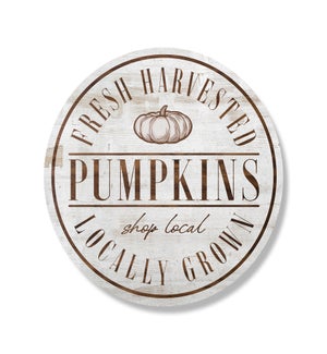 Pumpkins Shop Local Whitewash